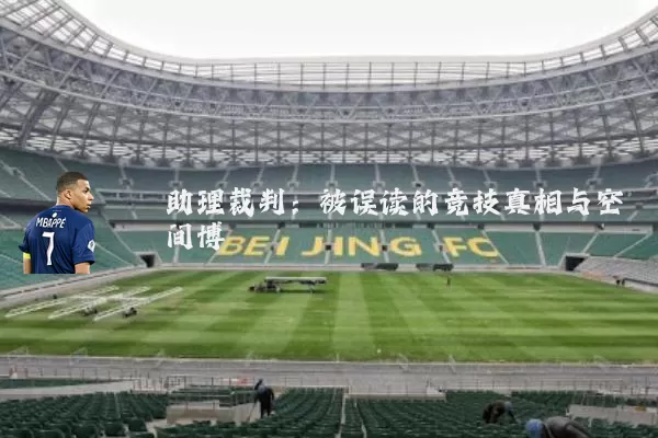 助理裁判：被误读的竞技真相与空间博弈